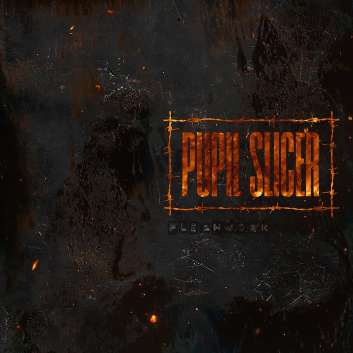 Album cover of Fleshwork, by PUPIL SLICER by PUPIL SLICER