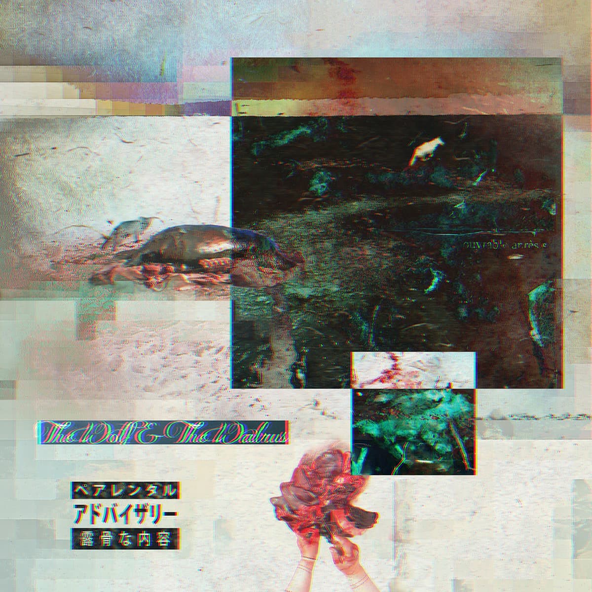 Album cover of The Wolf & The Walrus by Teller Bank$ & Ed Glorious